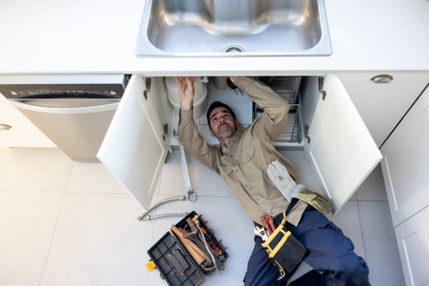Best Same-Day Plumbing Service  in South Jacksonvle, IL