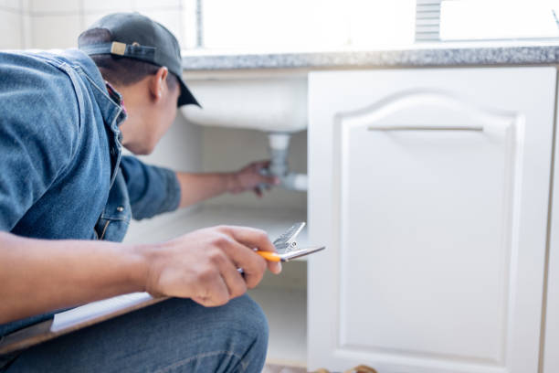 Best Plumbing Services Near Me  in South Jacksonvle, IL