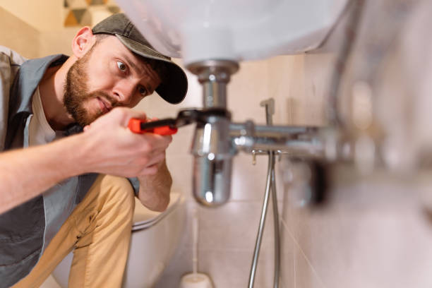 Best Affordable Plumbing Services  in South Jacksonvle, IL