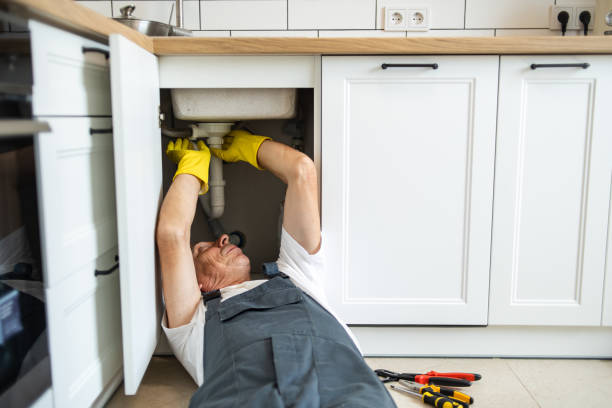 Best Leak Detection Services  in South Jacksonvle, IL