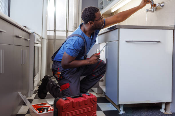 Best Same-Day Plumbing Service  in South Jacksonvle, IL